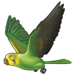 Australian Parakeet Sticker