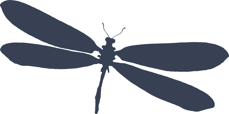 Authentic Dragonfly Sticker