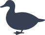 Authentic Duck Sticker