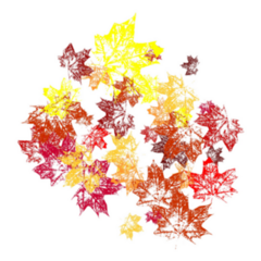 Autumn Background With Golden Maple Canadian Leaves Sticker