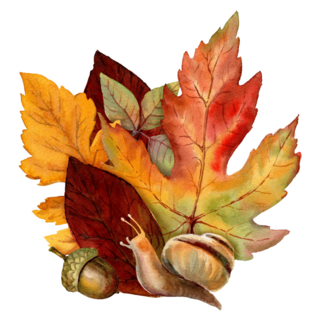 Autumn Bouquet Botanical Snail Sticker