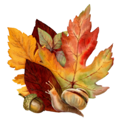 Autumn Bouquet Botanical Snail Sticker