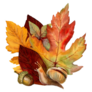 Autumn Bouquet Botanical Snail Sticker