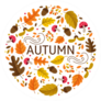 Autumn Circle with Fall Elements Sticker