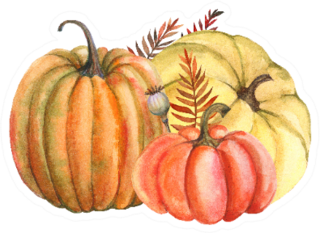 Autumn Composition Of Yellow And Orange Pumpkins Sticker