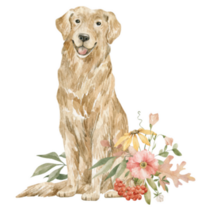 Autumn Golden Retriever Sticker