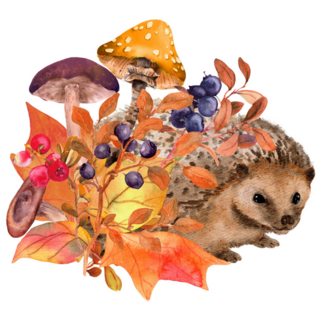 Autumn Mushroom Hedgehog Sticker