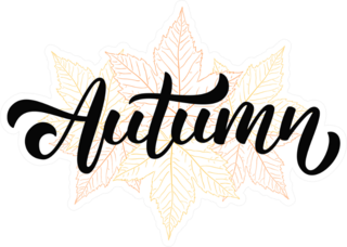 Autumn On Hand Drawn Fall Leaves Sticker