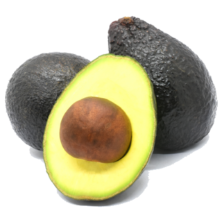 Avocado Fruits On White Sticker