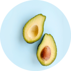 Avocado On Blue Background Sticker