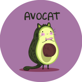Avocat Avocado Sticker