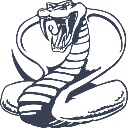 Awesome Detailed Cobra Snake Sticker