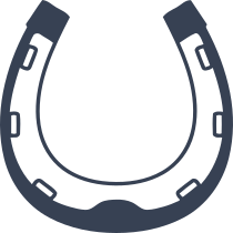 Awesome Horseshoe Sticker