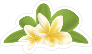 Awesome Plumeria Flower Sticker