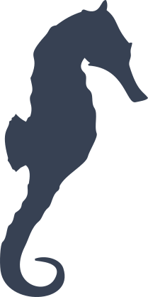 Awesome Seahorse Sticker