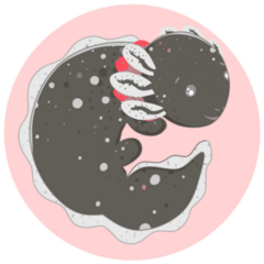 Axolotl, Baby Amphibian Sticker