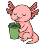 Axolotl Enjoying Drink Sticker