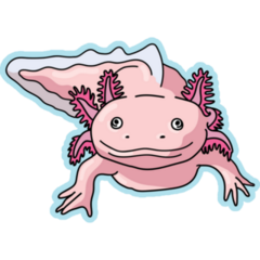 Axolotl Front View Sticker
