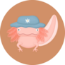 Axolotl In Hat Sticker