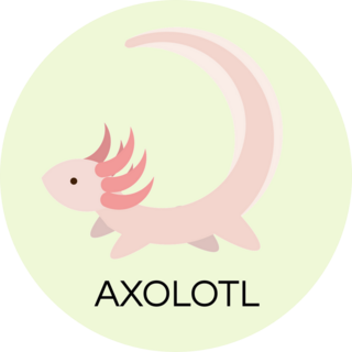 Axolotl Logo Sticker