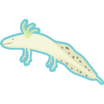 Axolotl On Blue Sticker