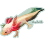 Axolotl On Light Blue Sticker