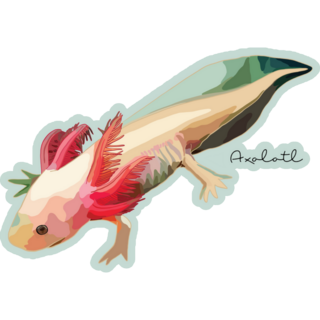 Axolotl On Light Blue Sticker