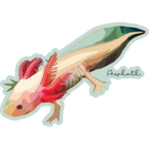 Axolotl On Light Blue Sticker