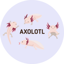 Axolotl Poses Sticker