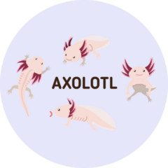 Axolotl Poses Sticker