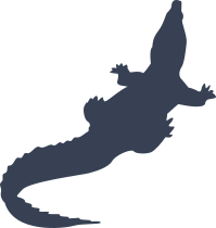 Baby Alligator Crocodile Sticker