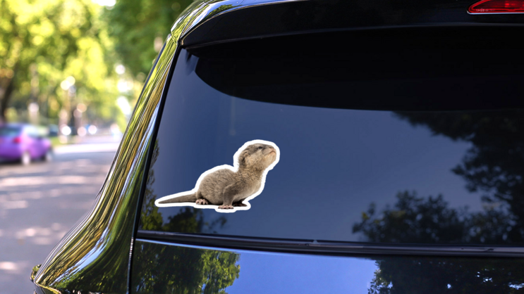 Baby Asian Small-clawed Otter Stretching Sticker on a Rear Car Window (New) example