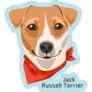 Baby Blue Jack Russel Sticker