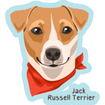 Baby Blue Jack Russel Sticker