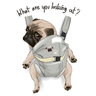 Baby Carrier Pug Sticker