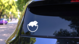 Baby Chick Chicken In Egg Sticker on a Rear Car Window (New) example