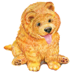 Baby Chow Chow Sticker
