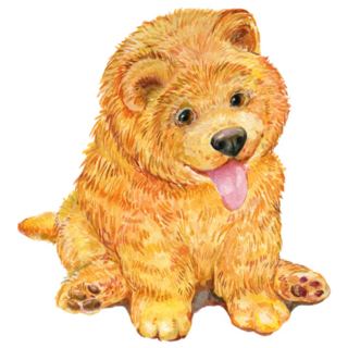 Baby Chow Chow Sticker