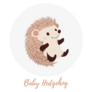 Baby Hedgehog Sticker