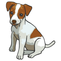 Baby Jack Russel Sticker