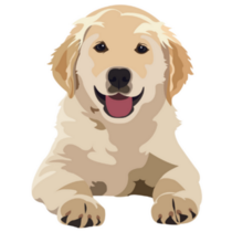Baby Labrador Smiling Cute Sticker