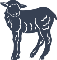 Baby Lamb Sheep Sticker