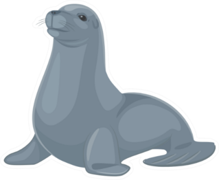 Baby Monk Seal Animal Sticker
