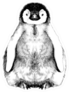 Baby Penguin Small And Cute Fluffy Sketch Sticker
