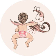 Baby Scorpio Zodiac Sign Hand-drawn Sticker