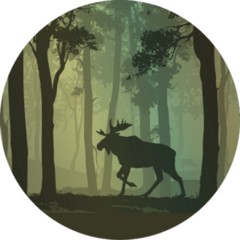 Background With Moose Walking In The Forest Sticker
