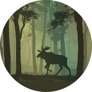 Background With Moose Walking In The Forest Sticker