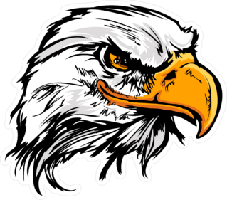 Bald Eagle Head Mascot Sticker