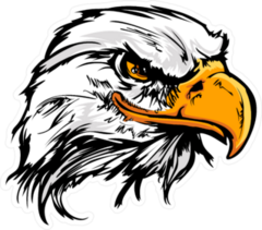 Bald Eagle Head Mascot Sticker