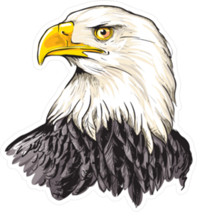 Bald Eagle Head Sticker